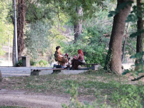 Двама души разговарят на пейка в сенчест парк