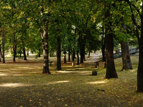 Есенен парк с високи дървета, листа по тревата и дървен мост в дъното