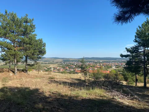 Гледка към Хисаря между боровете от хълма над Веригово