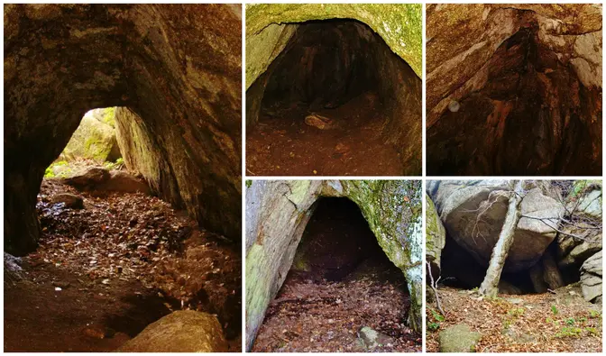 Колаж от пет снимки на скални ниши и пещери в гората