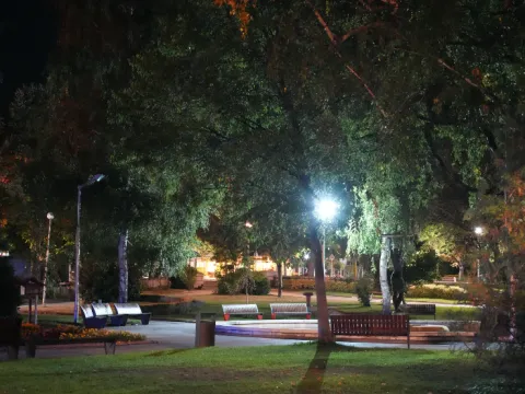 Нощен парк с осветено дърво, пейки и зелена поляна