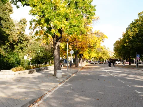 Широка улица с пожълтели дървета от двете страни