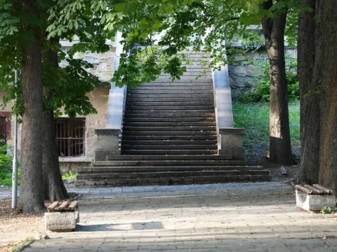 Широко каменно стълбище сред дървета, отстрани пейки